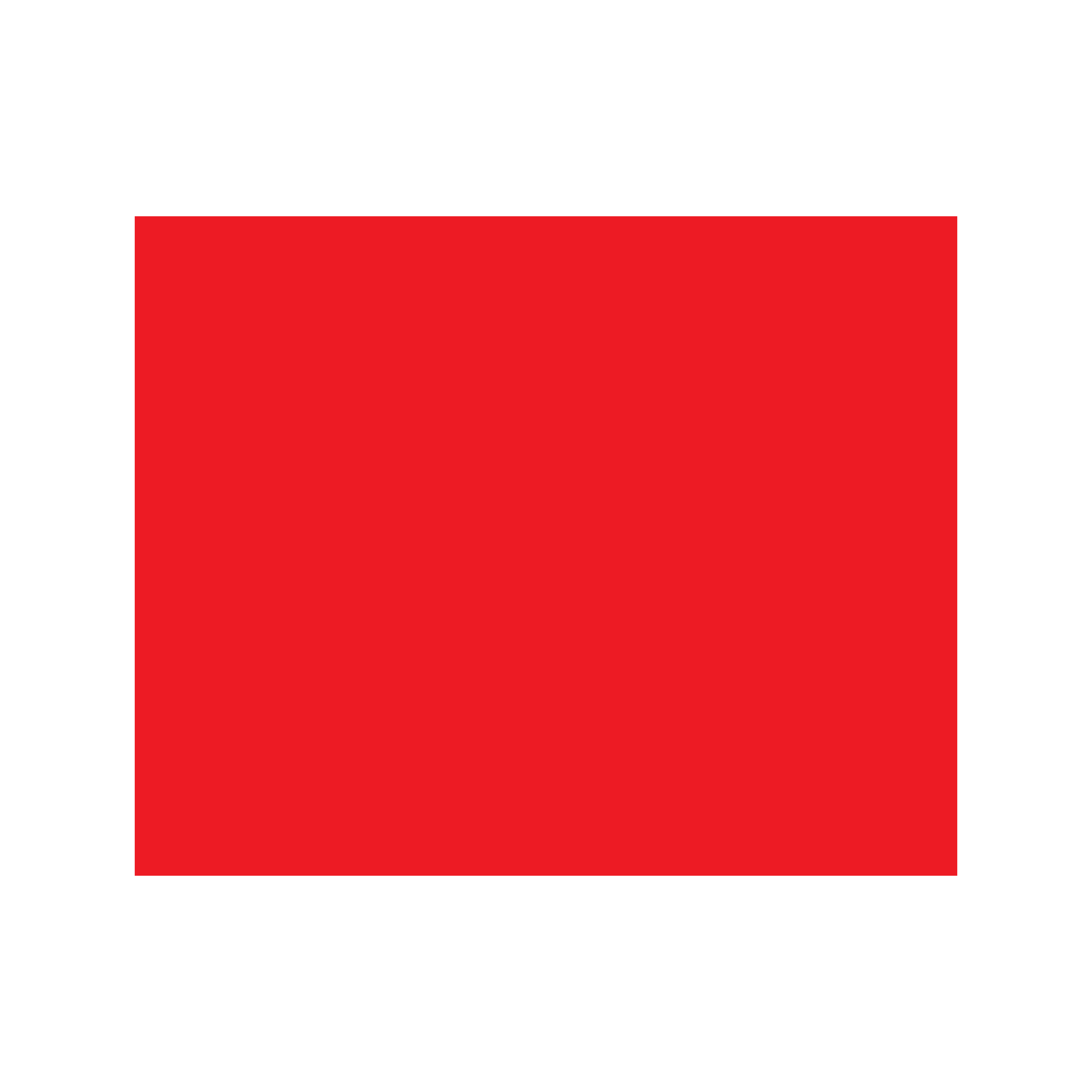 ADVANTAGE ONI134 RED