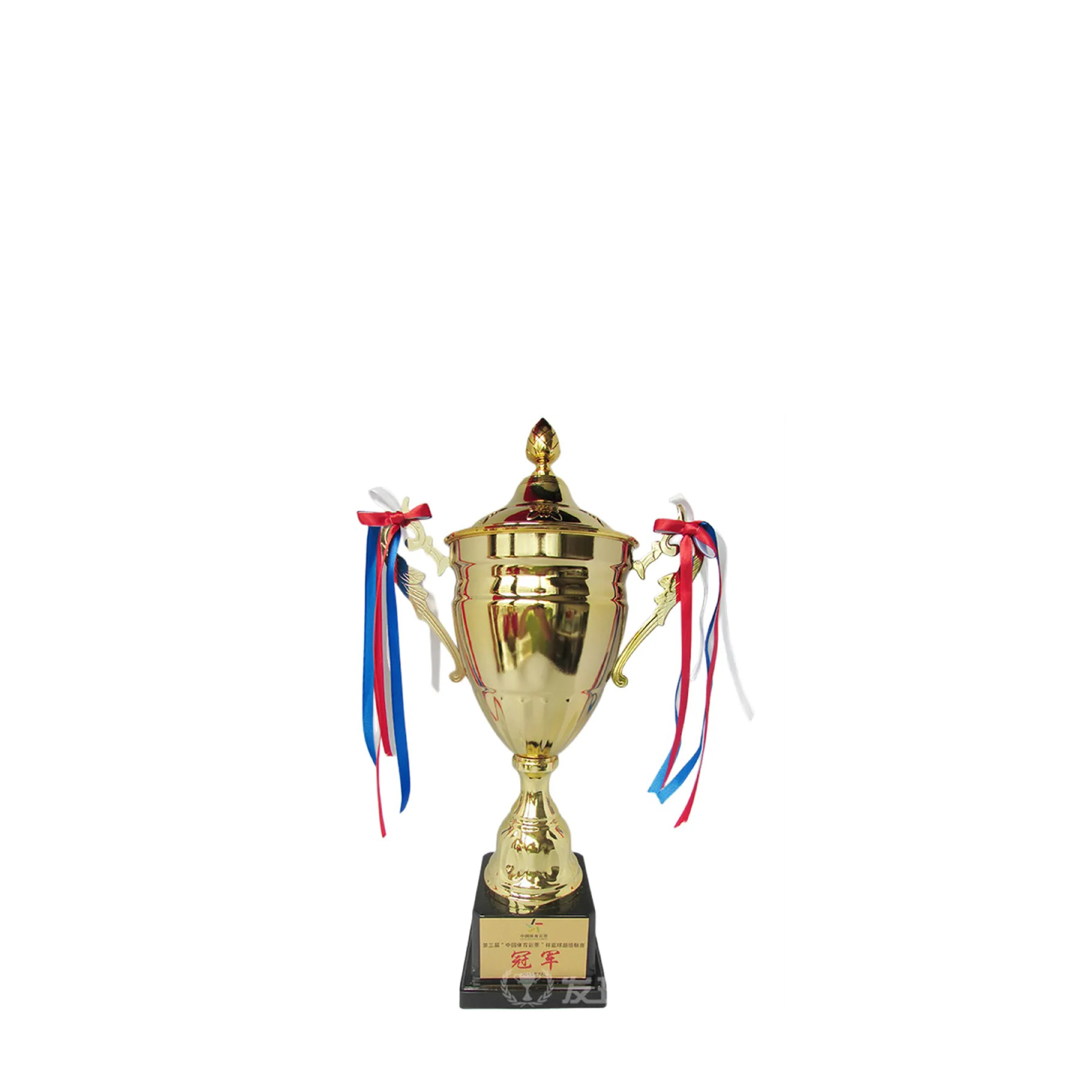 كأس رياضي 40 سم 2858-3