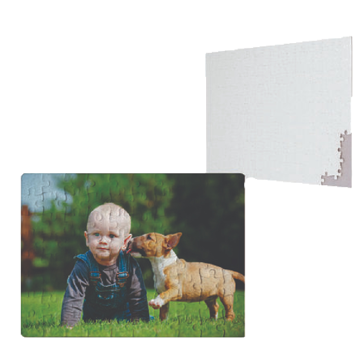 بزل كرتون A3 3514-22