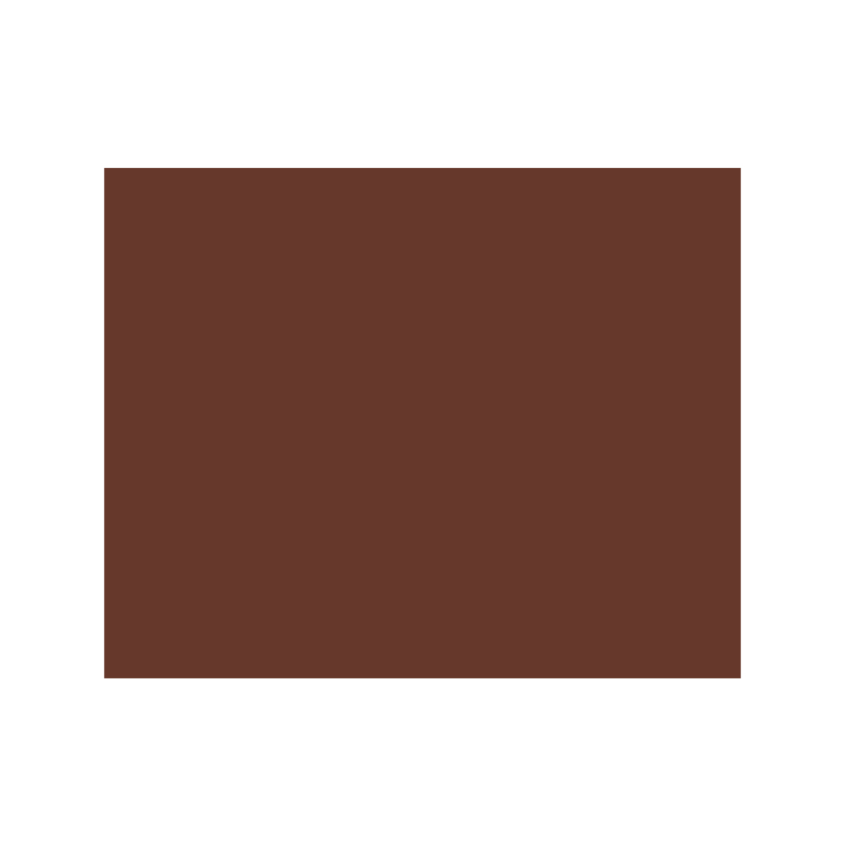 PLASTISOL BROWN