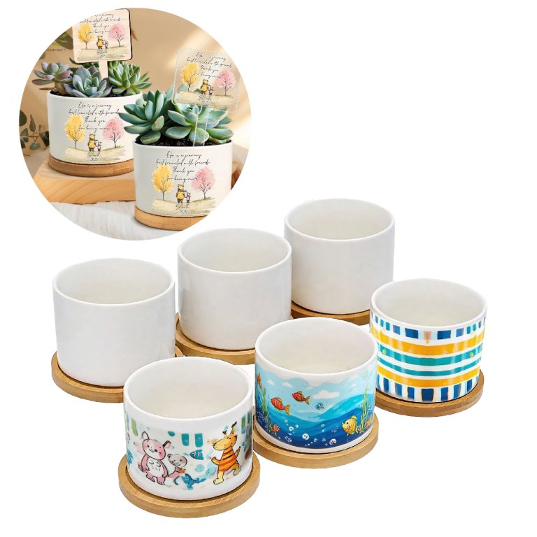 قوارة دائرة سبليميشن 3630-6